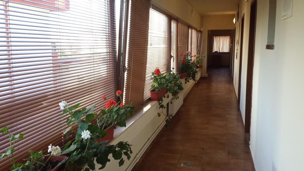 Hostel Nova Route Неводарі Екстер'єр фото